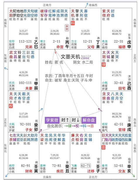 紫微斗數 身體部位|紫微斗数对应身体部位